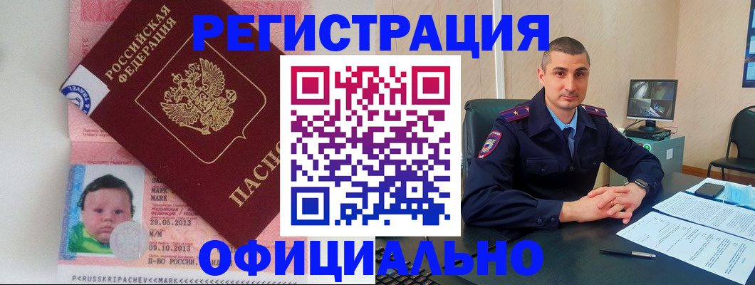 прописка поиск в Зверево